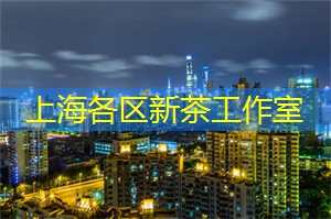 爱上海：全球最壮观的烟花