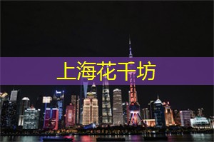 爱上海：作为一个汇聚中外智慧的平台