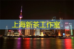 上海娱乐网：职业生涯与文化交流：上海的话题